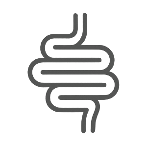 Digestion